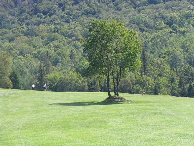 Think a muni can #39 t be a must play? You don #39 t know Craig Wood Golf