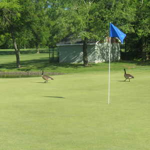 South Shore GC: #18