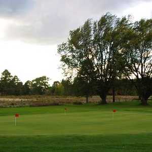 Hillview GC: practice green