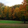 A fall view of green at Hillview Golf Course