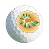Canajoharie Country Club Logo