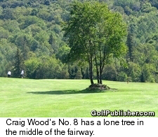 Craig Wood Tree Fairway No. 8