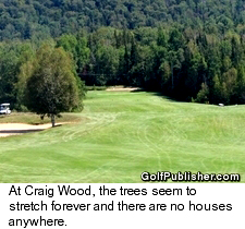 Craig Wood Scenic Trees
