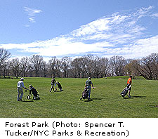 Forest Park