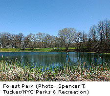 Forest Park