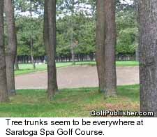 Saratoga Spa Golf Course - Saratoga Springs, New York - tall trees