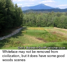 Whiteface Club Golf Course Wood Scene